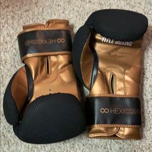 Title boxing Hexicomb bag and sparring gloves